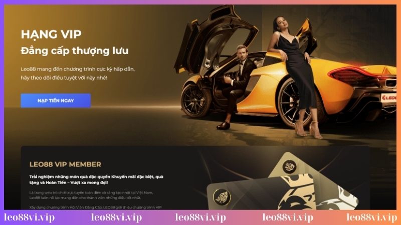 Giải mã chính sách VIP Leo88 là gì?